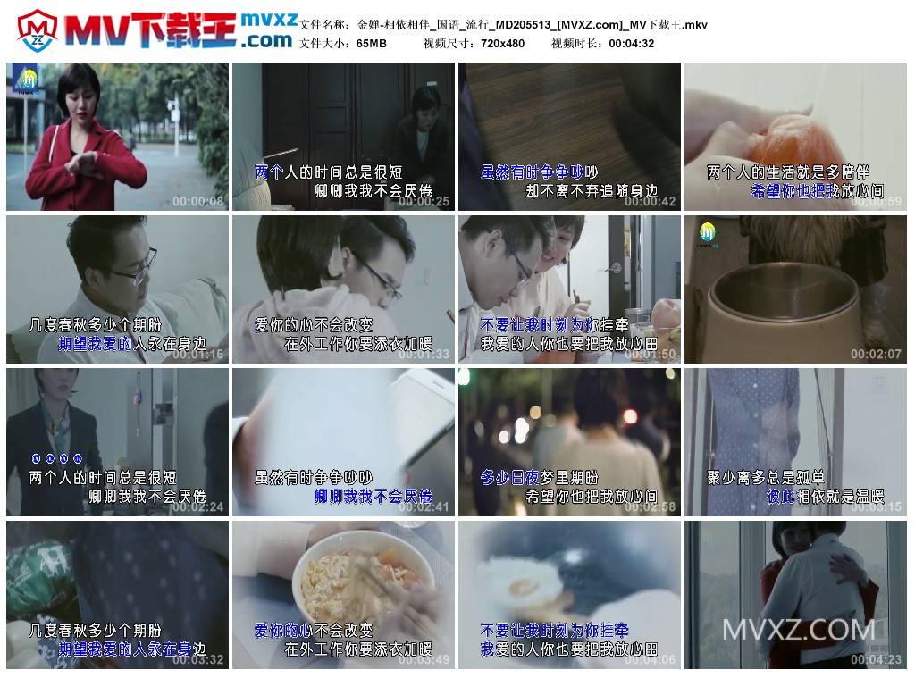 金婵-相依相伴_国语_流行_MD205513